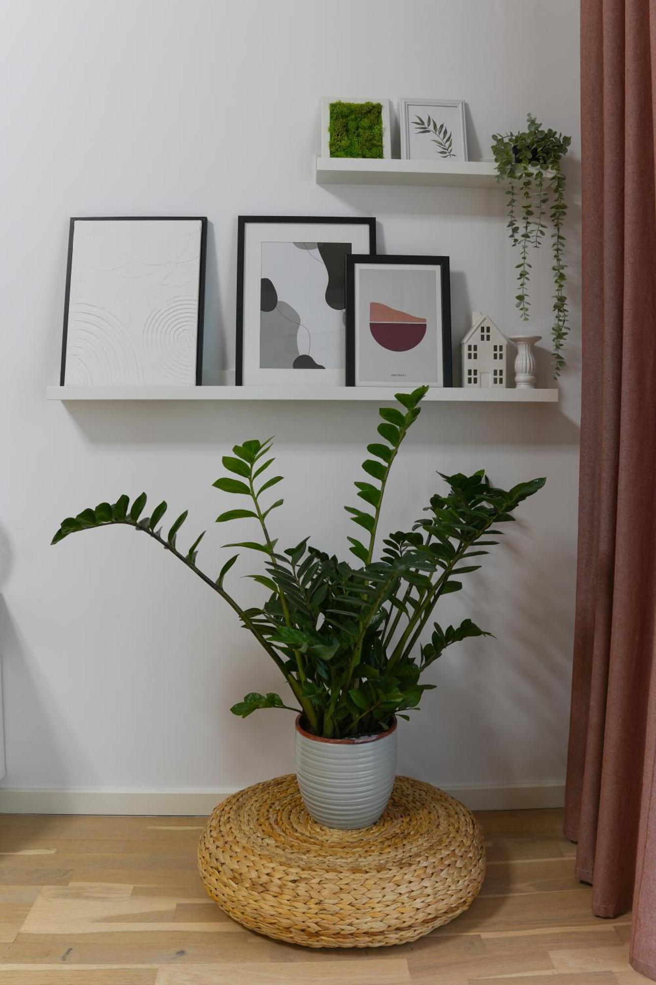 Amalia - Quiet 1br With Parking & Wi-fi Apartment Bucharest